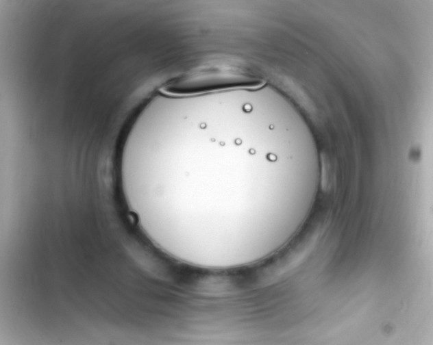 X0000103330252200809192211