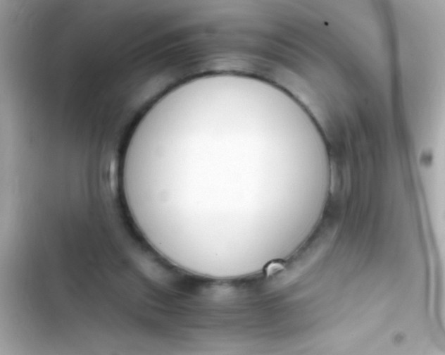 X0000103330253200809192211