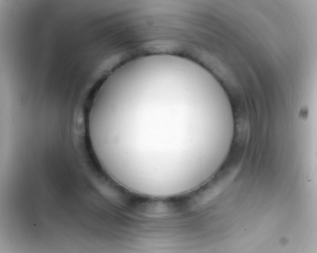 X0000103330254200809192211