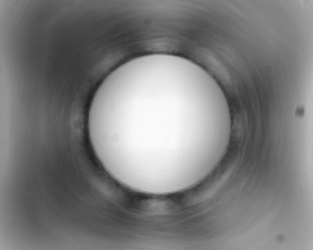 X0000103330255200809192211