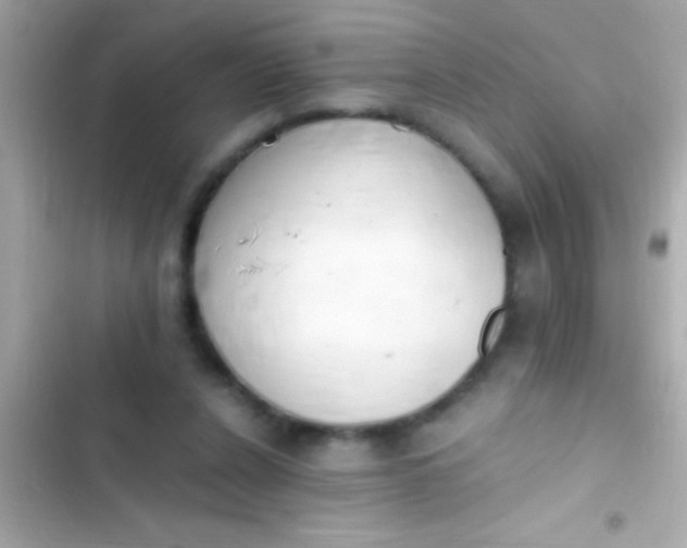 X0000103330256200809192211