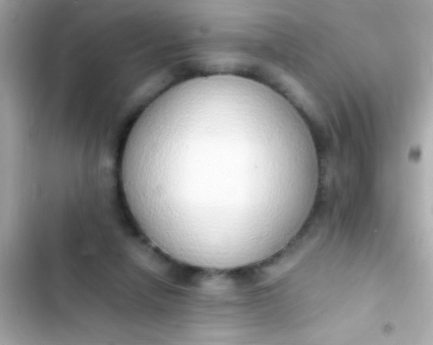 X0000103330258200809192211