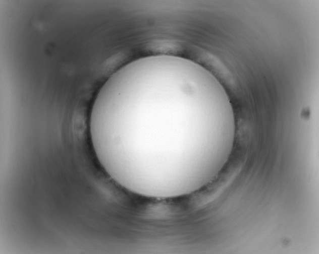 X0000103330259200809192211