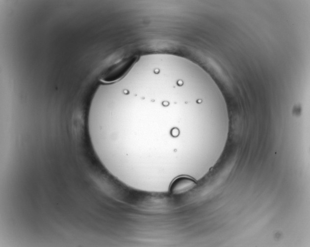 X0000103330260200809192211