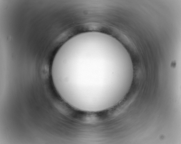 X0000103330262200809192211