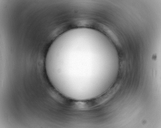 X0000103330265200809192212