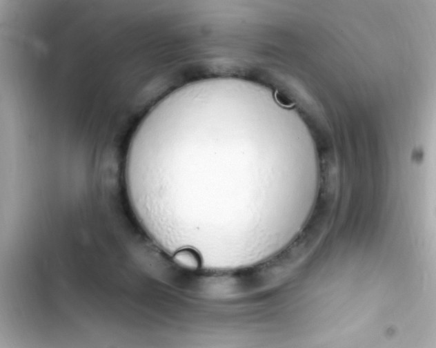 X0000103330266200809192212