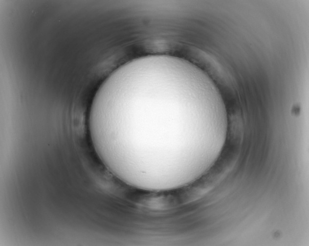 X0000103330267200809192212