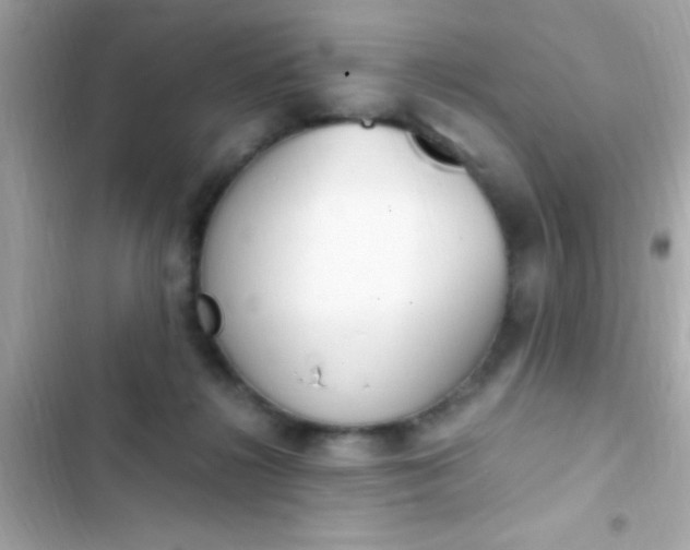 X0000103330268200809192212