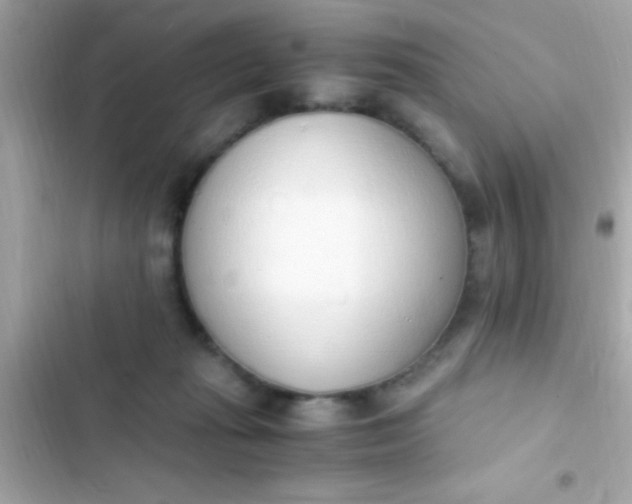 X0000103330269200809192212