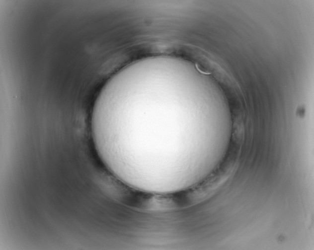 X0000103330270200809192212