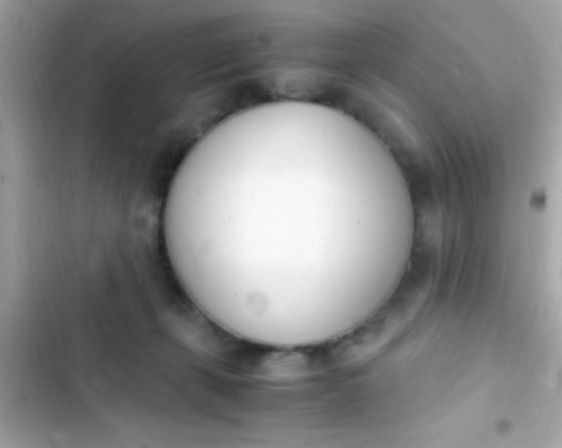 X0000103330271200809192212