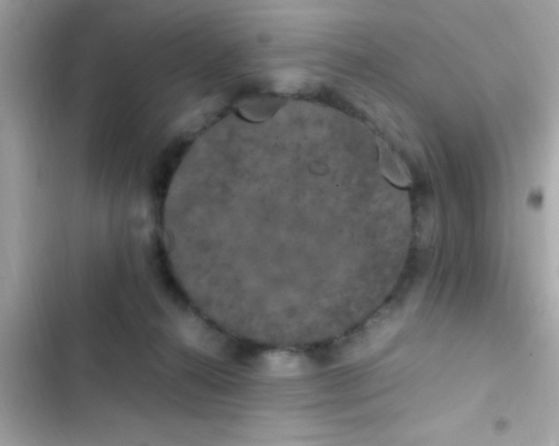 X0000103330272200809192212