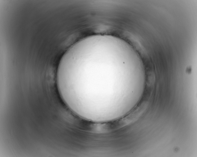 X0000103330273200809192212