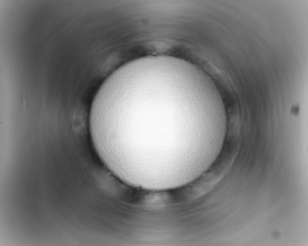 X0000103330274200809192212