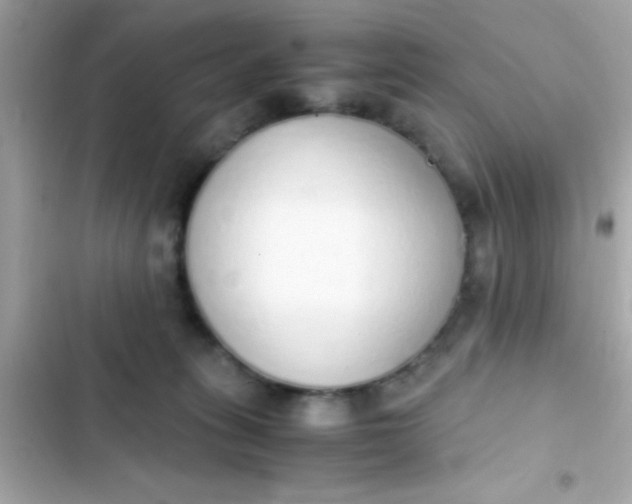 X0000103330275200809192212