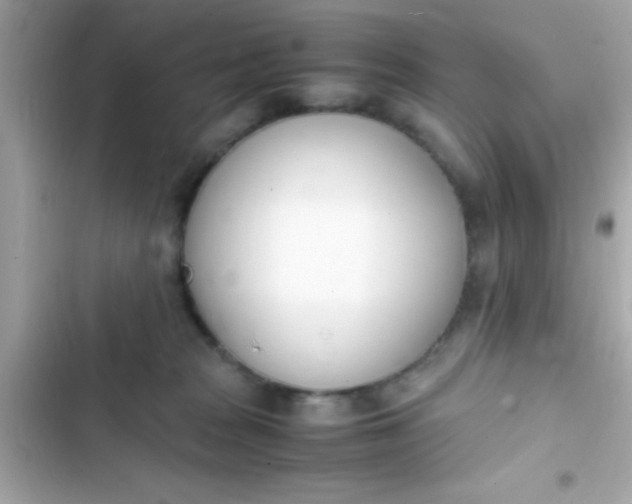 X0000103330277200809192212