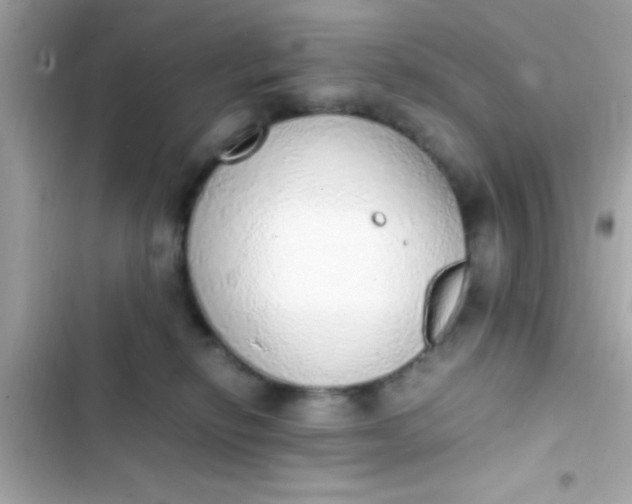 X0000103330278200809192212