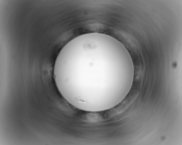 X0000103330279200809192212