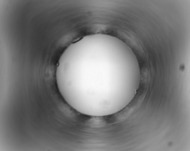 X0000103330280200809192212