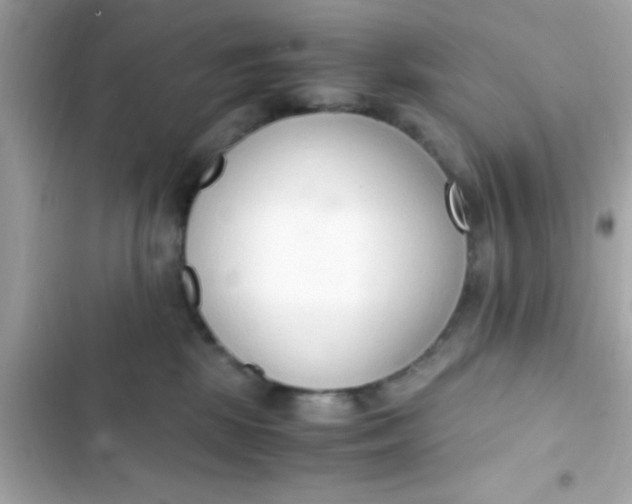 X0000103330281200809192212