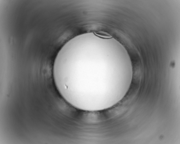 X0000103330282200809192212