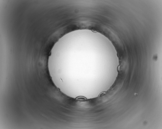 X0000103330283200809192212