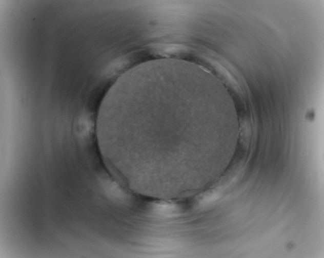 X0000103330284200809192212