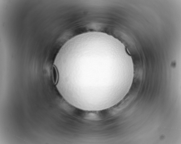 X0000103330285200809192212