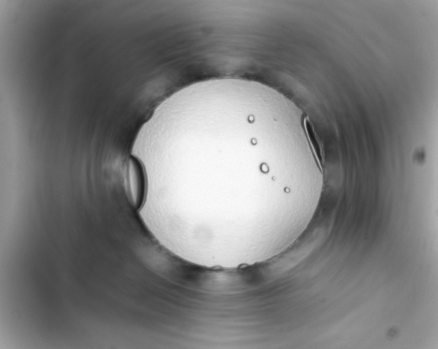 X0000103330286200809192212