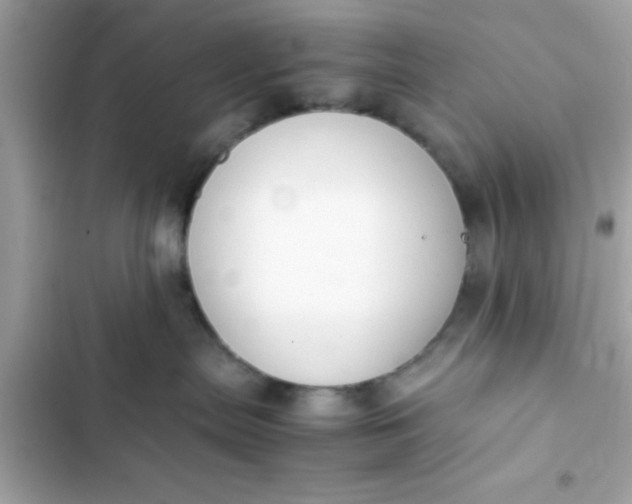 X0000103330287200809192212