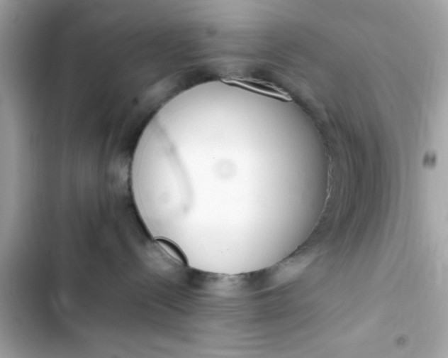 X0000103330288200809192212