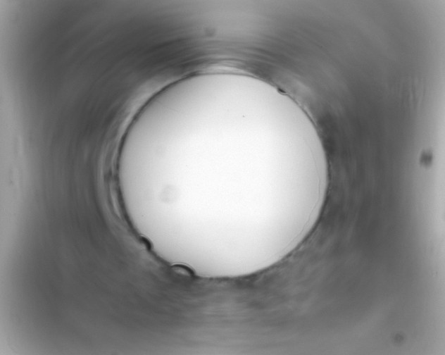 X0000103330289200809192211