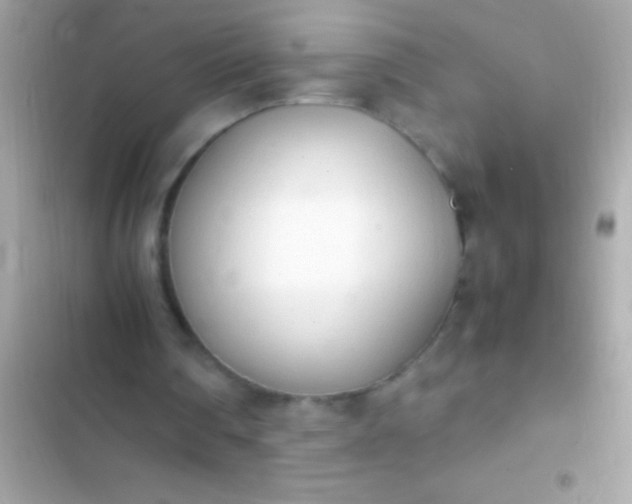 X0000103330290200809192211