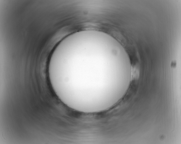 X0000103330291200809192211