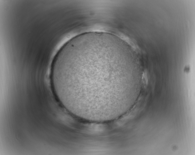 X0000103330292200809192211