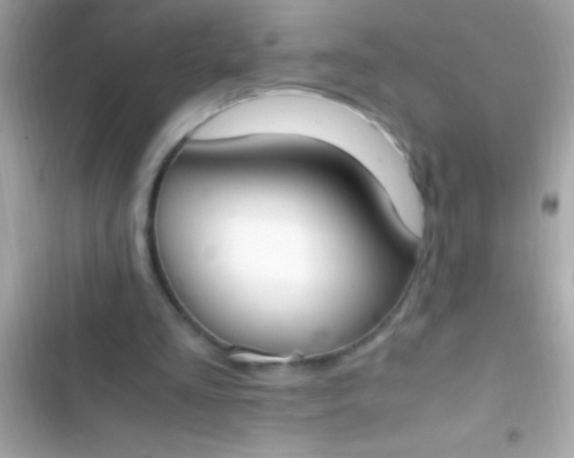 X0000103330293200809192211