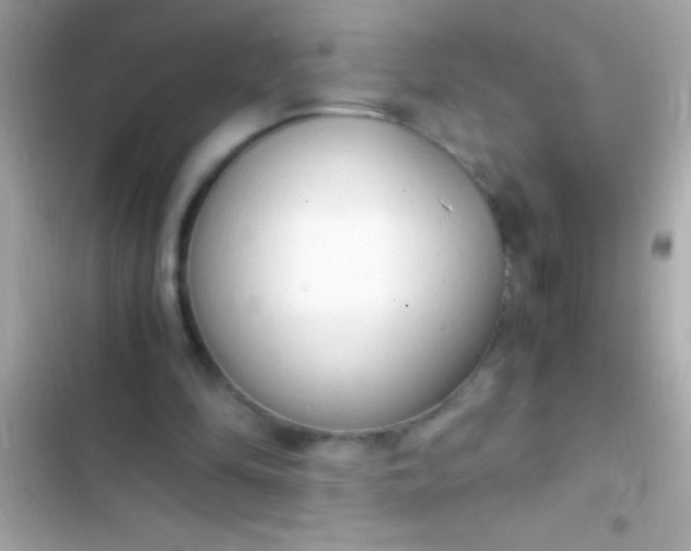 X0000103330294200809192211