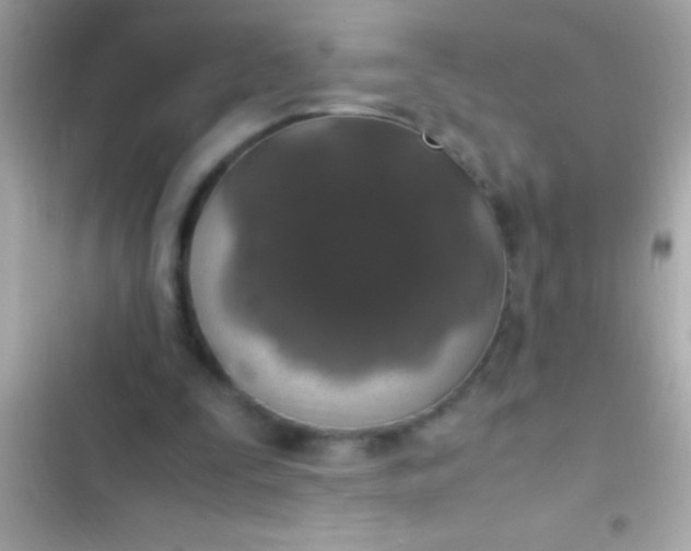 X0000103330295200809192211