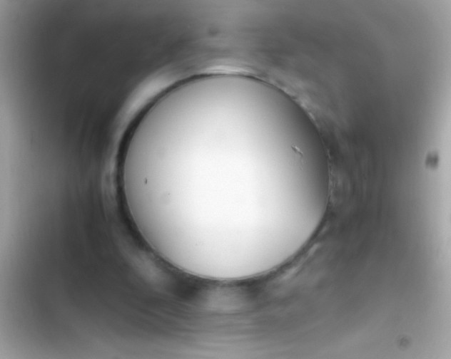 X0000103330296200809192211