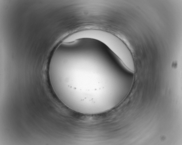 X0000103330297200809192211