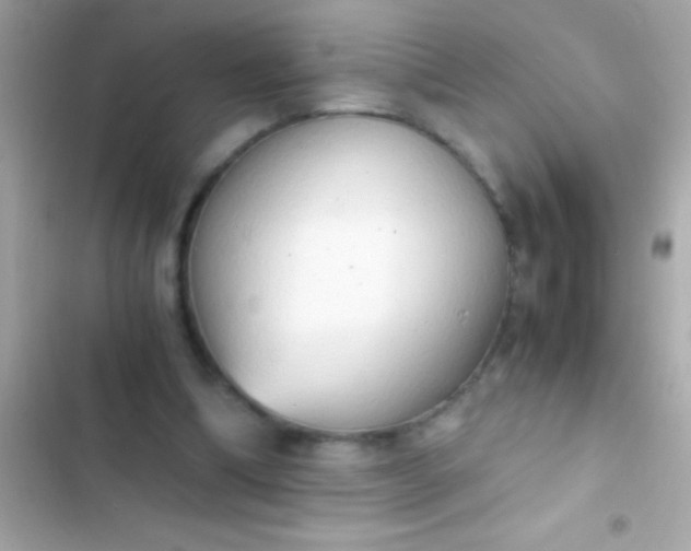 X0000103330298200809192211