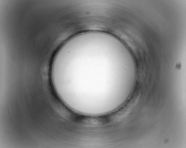 X0000103330299200809192211