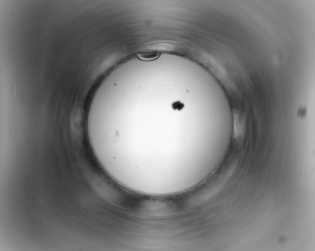 X0000103330300200809192211