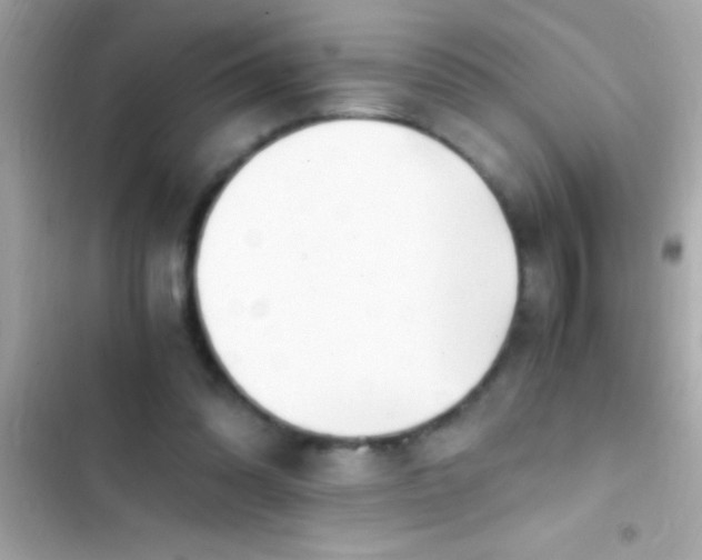 X0000103330302200809192211