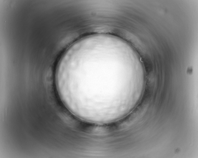 X0000103330303200809192211