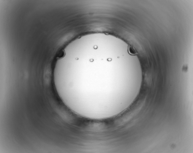 X0000103330304200809192211