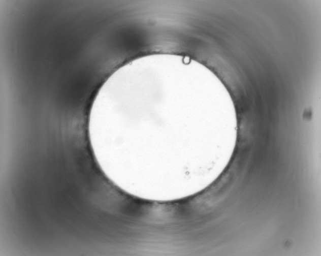 X0000103330305200809192211