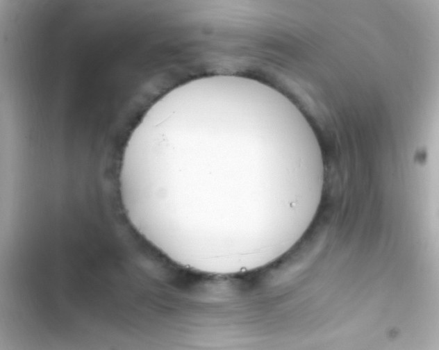 X0000103330307200809192211