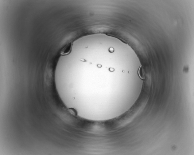 X0000103330308200809192211